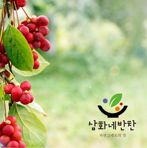 오미자청 세트